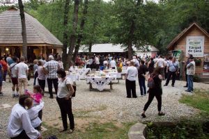 FOTO Peste zece mii de vizitatori au trecut pragul Muzeului Astra din Sibiu în weekend