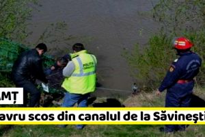 NEAMȚ: Cadavru scos din canalul de la Săvineşti