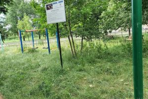 Ne enervează: Buruienile care acoperă parcul din Bulevardul Ştefan cel Mare