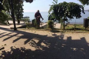 Primaria Municipiului Constanta continua lucrarile de igienizare si cosit in cartierele din oras. In ce zone au loc lucrari (galerie foto)