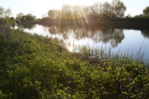 ABA Banat: Debitele cursurilor de apă din bazinele Bega şi Pogăniş sunt în creştere