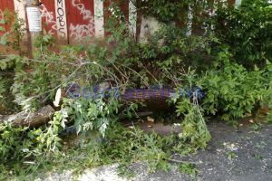Efectele ploii torenţiale de duminică, în municipiul Botoşani: Copaci doborâţi de vânt, străzi împietruite afectate de viituri ori surpate lângă căminele de canalizare