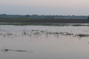 Avertizare hidrologică! Coduri portocaliu şi galben de inundaţii pentru judeţul Botoşani