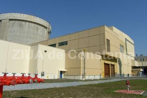 Ronexprim SRL castiga 10.000 de dolari de la CNE Cernavoda (document) 