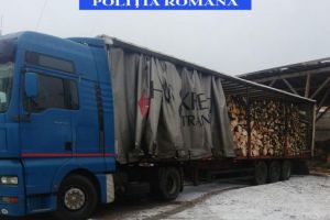 Operaţiune ilegală cu lemn depistată de Poliţia Transporturi şi Garda Forestieră Braşov. 1.400 mc material lemnos, confiscat