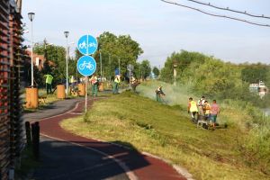 Au dispărut buruienile care au invadat pista de biciclete din Timişoara, de pe malul Begăi