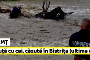 NEAMȚ: Căruţă cu cai, căzută în Bistriţa (ultima oră)