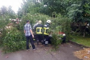 Un copac doborât de furtună a căzut pe o stradă din Siret