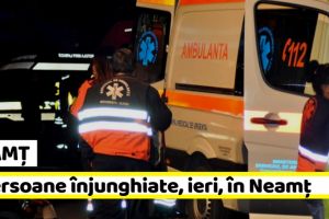 NEAMȚ: 5 persoane înjunghiate şi 4 rănite în accidente