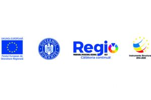 Finalizarea proiectului „Dezvoltarea activităţii medicale a societăţii MATERNA CARE S.R.L.”