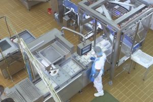 Școala Altfel la fabrica Napolact din Târgu Mureş. Cei mici au descoperit drumul laptelui de la poarta fabricii până la produsele finale