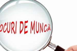 Angajări la Clubul Sportiv Municipal Târgu-Mureş