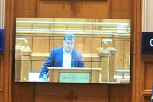 Marian Țachianu a depus jurământul de deputat. O înlocuieşte în Parlament pe Rovana Plumb