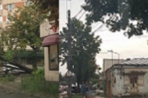 FOTO: Furtuna si ploaia torentiala au lasat in urma pomi cazuti, si un masini “intrate la apa”