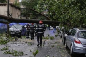 DEZASTRU făcut de furtună, în Ploiesti: Copaci cazuti si stalpi de electricitate rupti