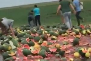 Plouă cu pepeni! DN6, complet blocat din cauza fructelor care ocupau toată strada