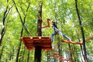 Se deschide parcul de aventură din Wonderland