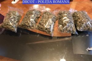 Doi braşoveni, arestaţi pentru trafic de droguri