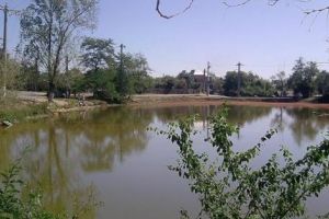 Se decolmatează Lacul Podeanca din Bradu