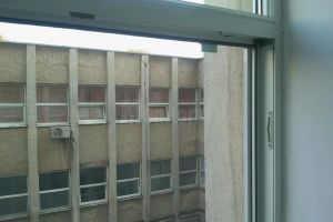 Risc crescut de meningită cu un virus transmis de ţânţari