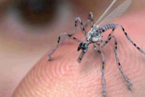 Guvernul se foloseşte de “ţânţari-dronă” pentru a vă fura ADN-ul! Imagini şocante cu un asemenea dispozitiv-minune care a fost capturat de un bărbat