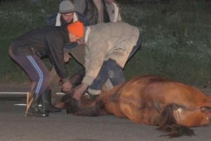 Trei bărbaţi din Harghita s-au înjunghiat reciproc în urma unui accident rutier petrecut în judeţul Neamţ