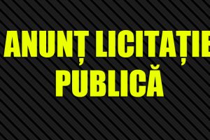 Feteşti: Anunţ de licitaţie