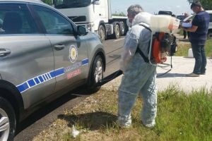 ALERTĂ. Focar nou de pestă porcină africană în judeţ