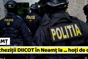 NEAMȚ: Percheziţii DIICOT în Neamţ la … hoţi de cărţi! Prejudiciu de 2.000.000 lire sterline