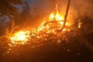 Atenţie! Incendierea miriştilor şi a resturilor vegetale se sancţionează cu amenzi