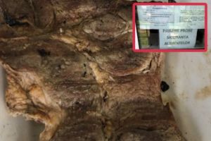 Friptură cu VIERMI la un „împinge tava” din centrul Piteştiului!