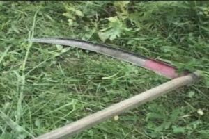 Vasluiul rămâne de poveste. Acum, un bărbat şi-a ucis nevasta cu coasa