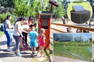 Grădina defectă: Ajunsă în stare deplorabilă, Grădina Zoologică din Oradea s-ar putea muta la Săldăbagiu (FOTO)