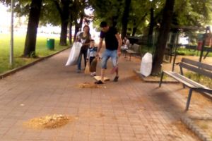 Familie de bulgari, adună teiul din Grădina Publică pentru ŞAMPON