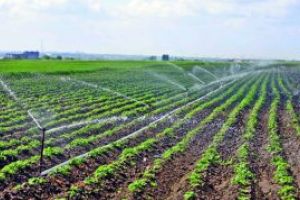 Ministrul Daea: Lucrarile de reabilitare a 56 de statii de irigat din Romania, realizate in proportie de 70%