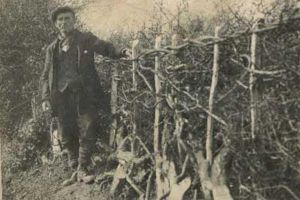 Cursuri pentru brigadieri şi pădurari