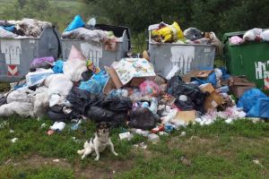 La Hreaţca – Vultureşti, gunoiul nu a mai fost ridicat de aproape două luni