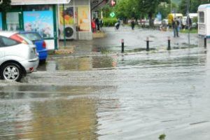 Cod portocaliu de vijelii in Maramures