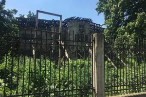 Casa Muhle nu se mai vede de buruieni. Robu şi Dobra se luptă în… vorbe