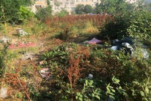 Incalcarea regulilor de convietuire sociala sanctionate de politistii locali 