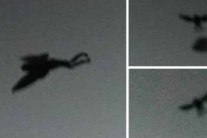 Creatura Mothman ar fi fost văzută înainte de dezastrul de la Cernobîl. Foto în articol