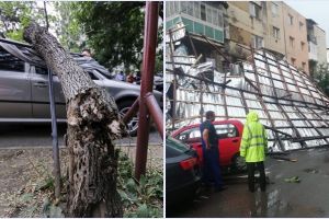 Dezastru în urma Codului Roşu, la Satu Mare! Copaci căzuţi şi acoperişe desprinse