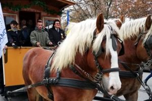 Paradă cu tramvaiul tras de cai şi concert Mircea Baniciu, de Ziua Transportului Public Timişorean