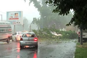 Efectele CODULUI ROŞU: 14 copaci doborâţi în Oradea şi în Bihor, două persoane evacuate. Pompierii sunt în alertă (FOTO / VIDEO)