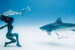 Teroare în Paradis. Tânără ucisă în Bahamas sub ochii familiei. Și nu este un caz izolat
