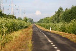 Bojin în plenul CJ Timiş: Vrem să ştim cui dăm în administrare pista de biciclete de pe malul Begăi