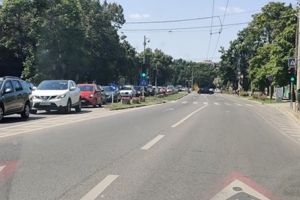 STPT deviază toate liniile de pe strada Cluj, din cauza şantierului primăriei