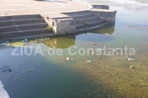 Mizeria plutitoare din lacul Tabacarie. Cine se face responsabil? (galerie foto)