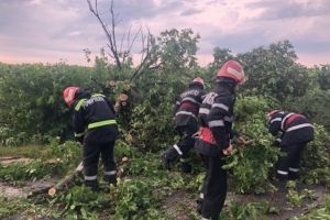 Bilanţul furtunilor de joi: Peste 41.000 de bihoreni fără curent, zeci de copaci căzuţi şi subsoluri inundate