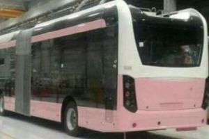 „APARTHEID de GEN” colorat în ROZ, ultima REFORMĂ a regimului ERDOGAN în TURCIA